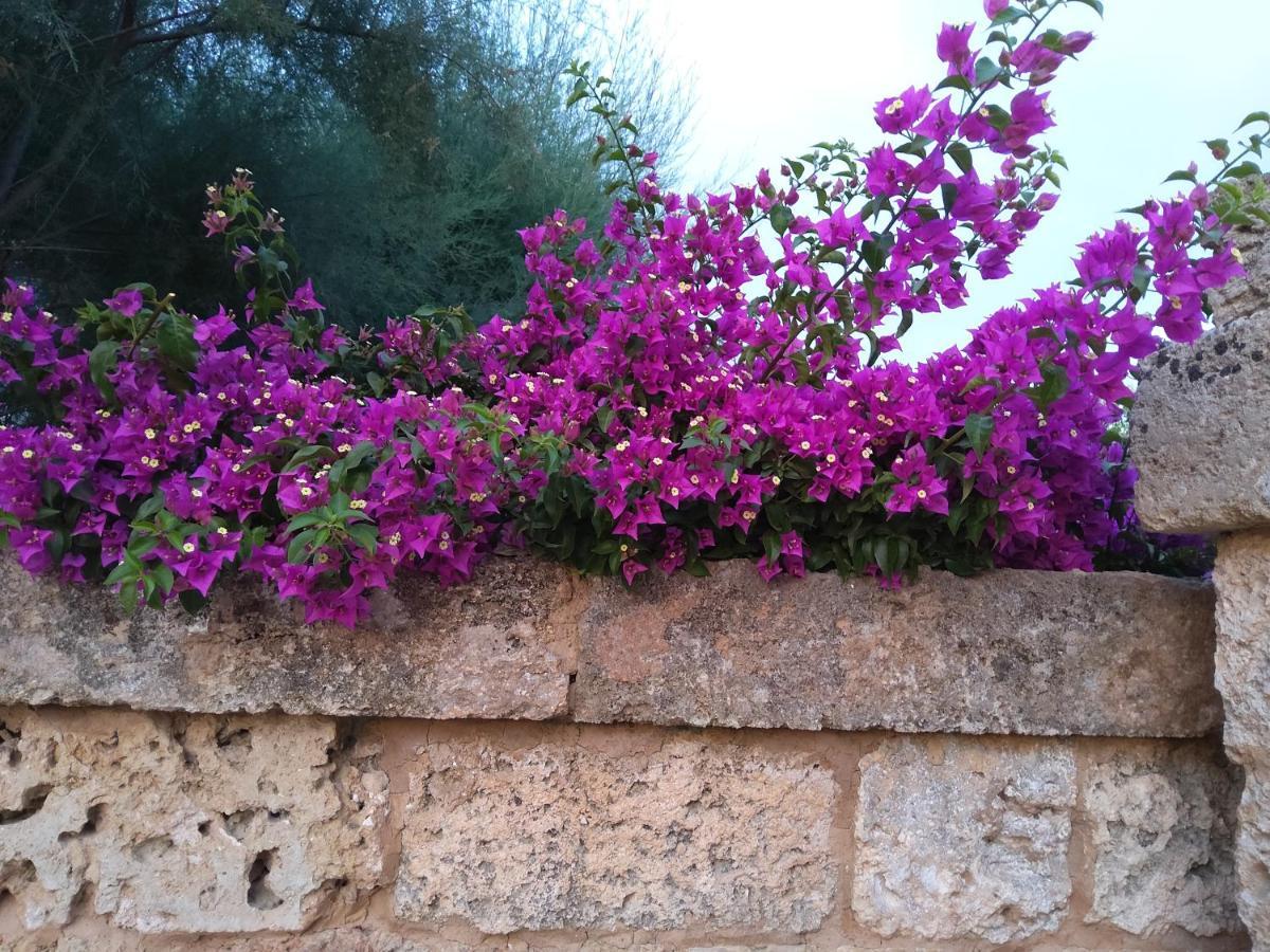 Casetta Vacanza In Campagna Aradeo المظهر الخارجي الصورة