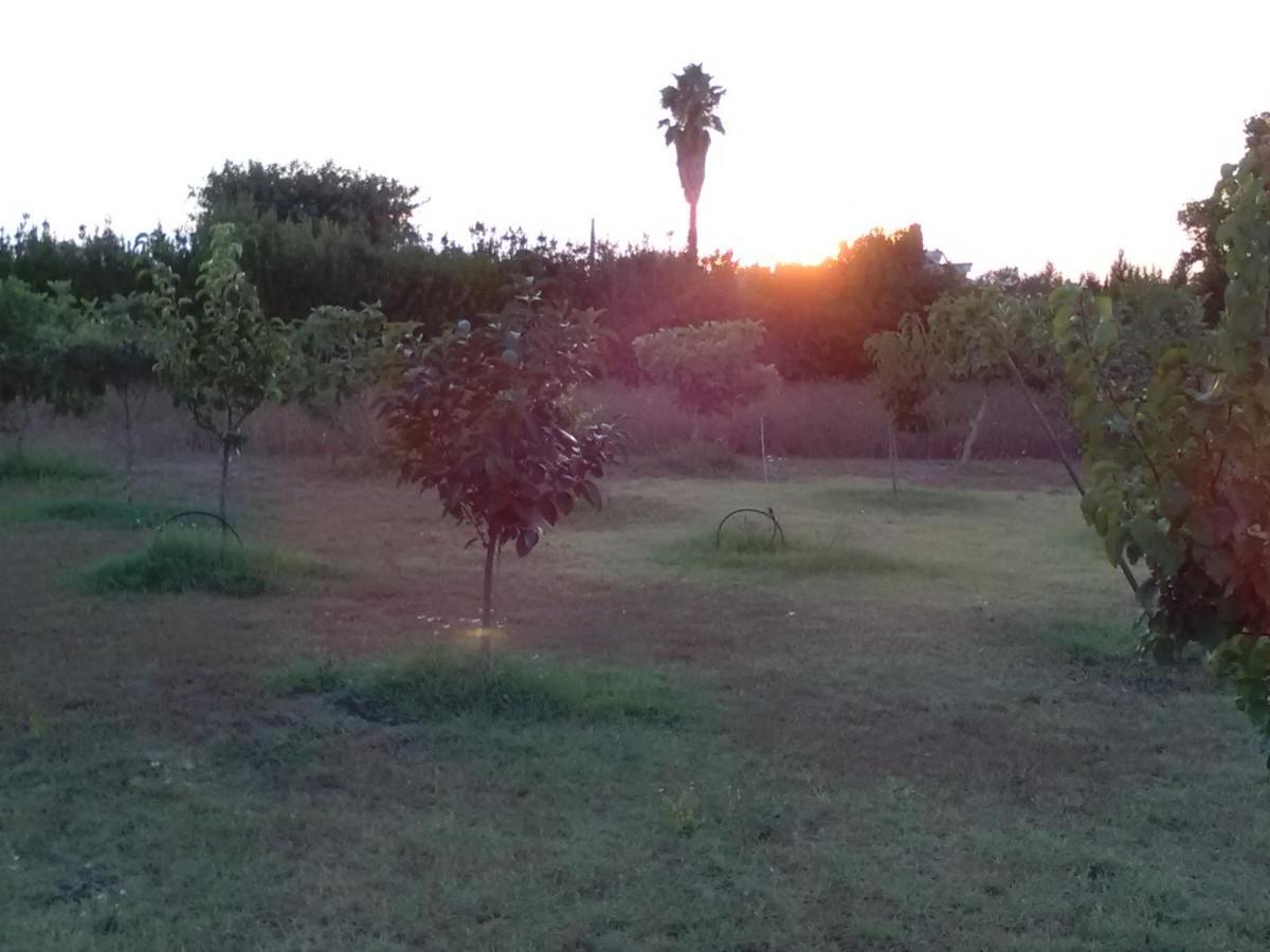 Casetta Vacanza In Campagna Aradeo المظهر الخارجي الصورة