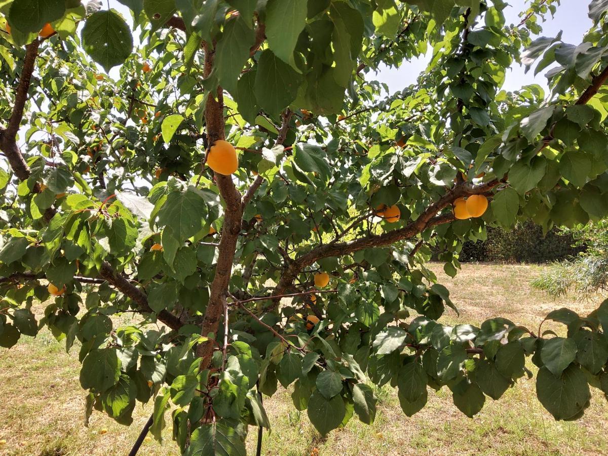 Casetta Vacanza In Campagna Aradeo المظهر الخارجي الصورة