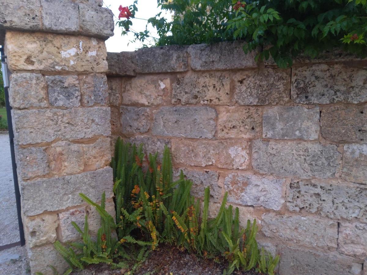Casetta Vacanza In Campagna Aradeo المظهر الخارجي الصورة