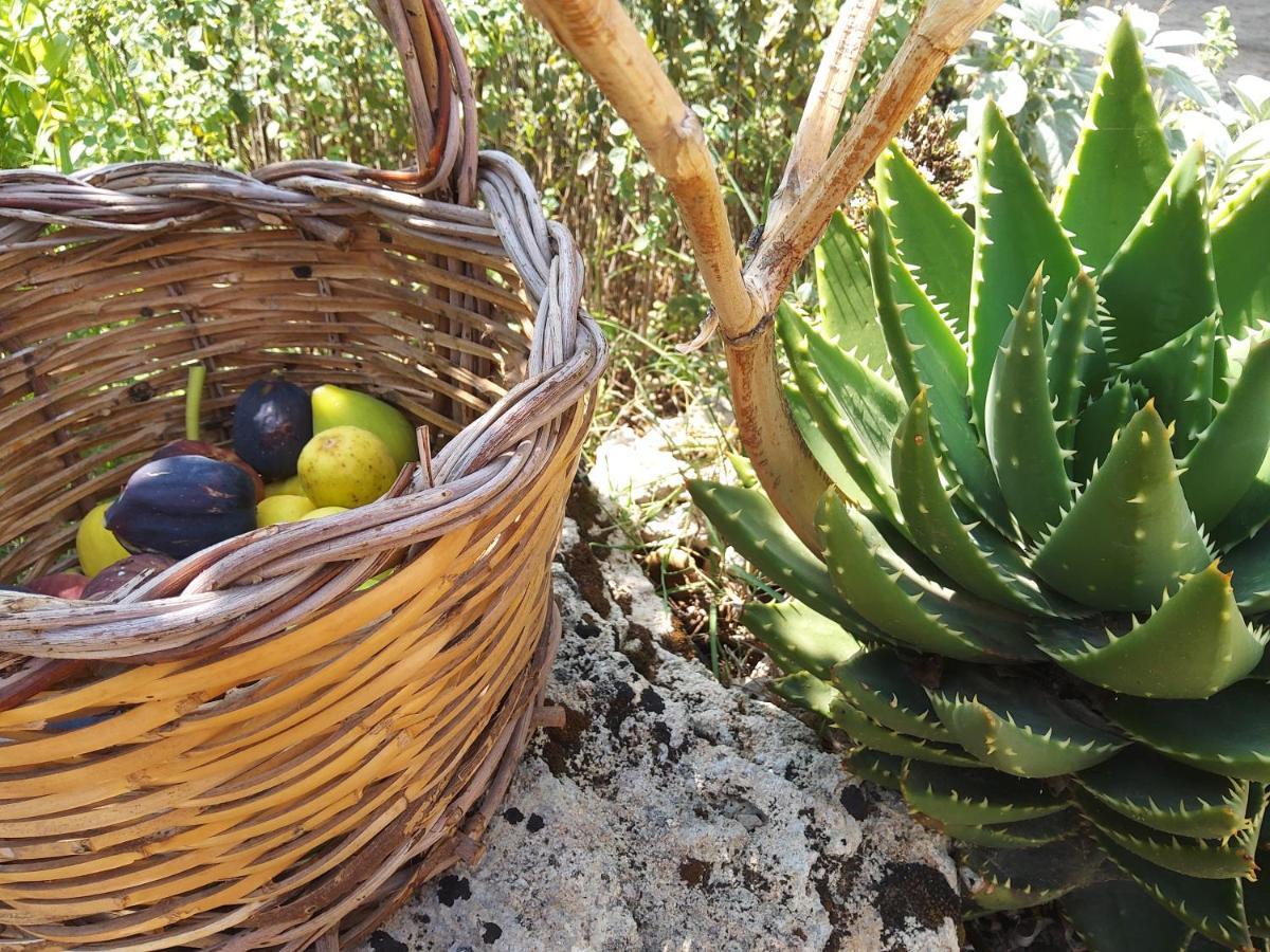 Casetta Vacanza In Campagna Aradeo المظهر الخارجي الصورة