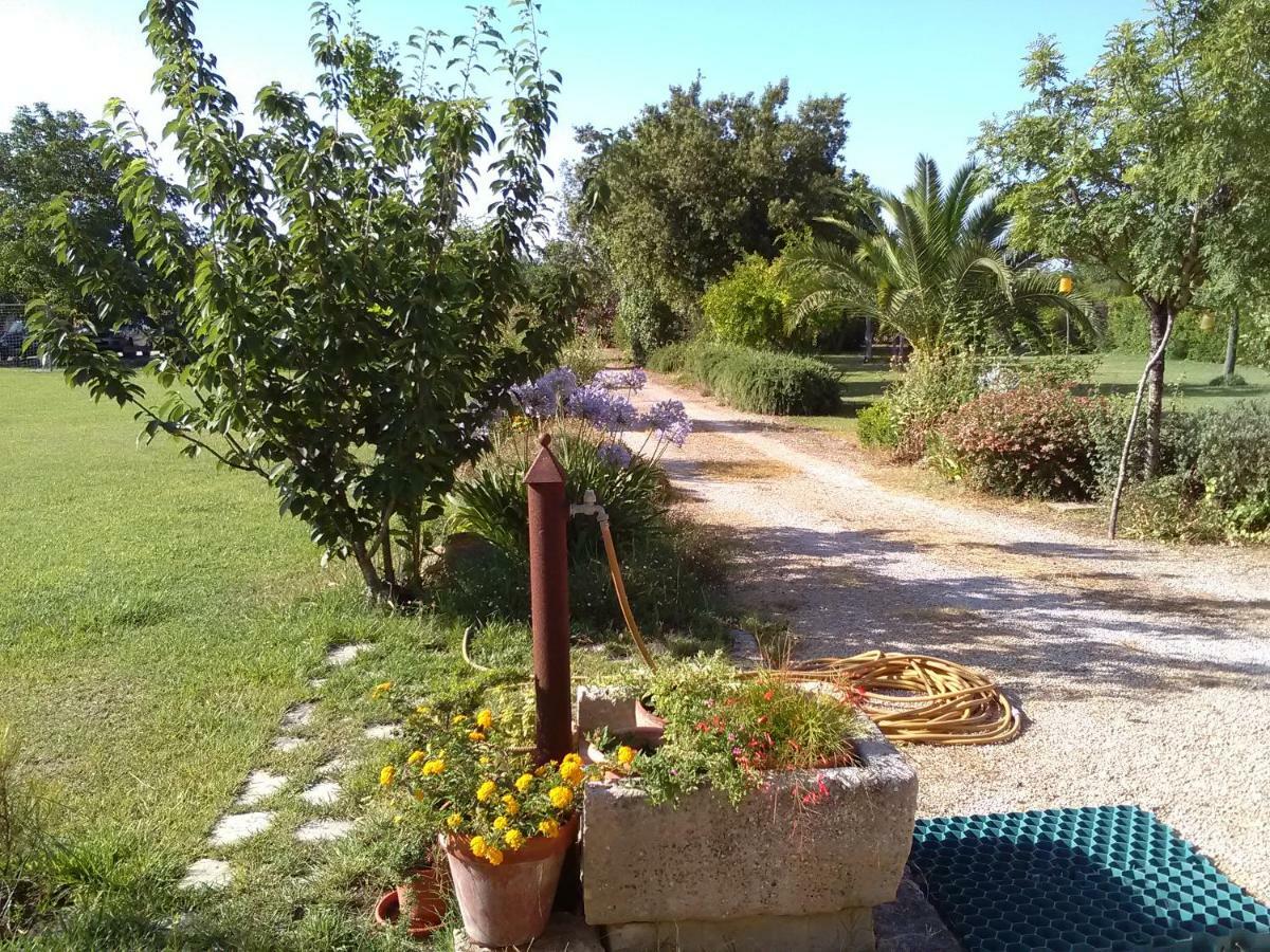 Casetta Vacanza In Campagna Aradeo المظهر الخارجي الصورة