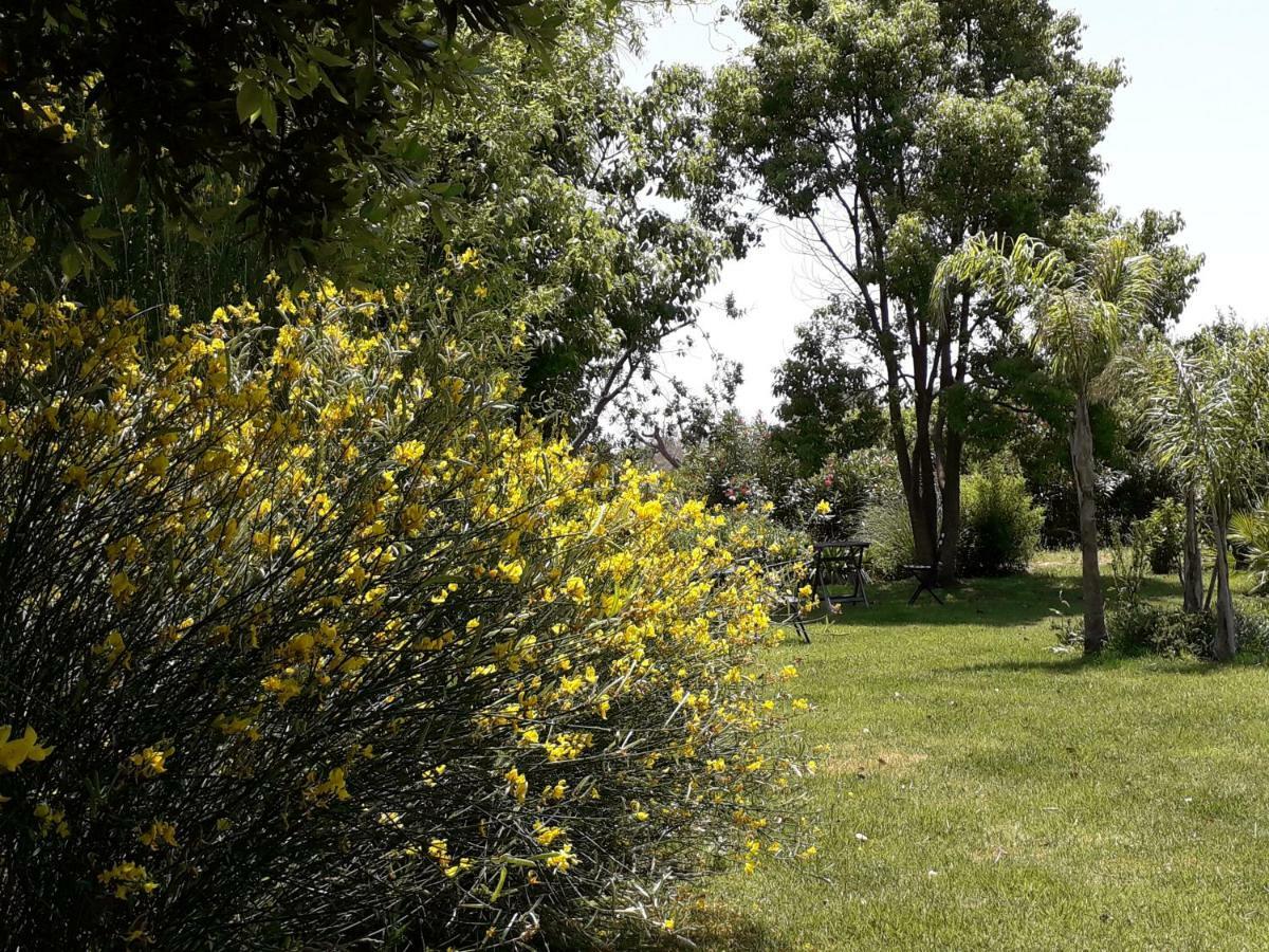 Casetta Vacanza In Campagna Aradeo المظهر الخارجي الصورة